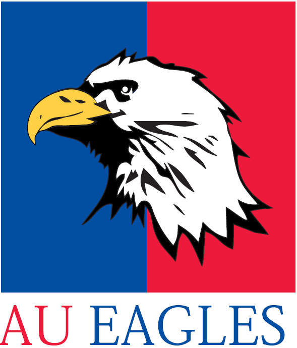 American Eagles 1985-2005 Alternate Logo DIY iron on transfer (heat transfer)